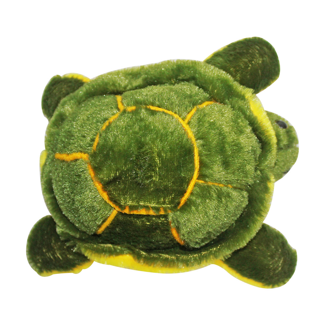 tortoise teddy